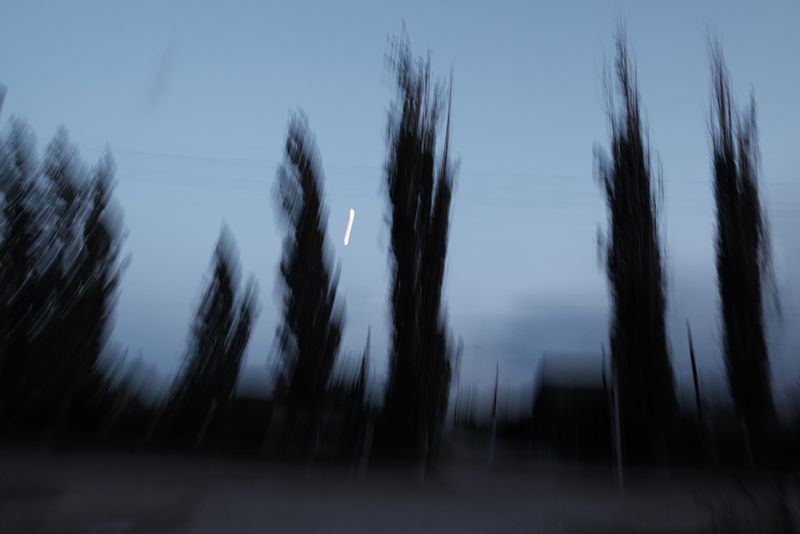 © ANASTASIA DUBRAVA - Image from the When the trees were big photography project