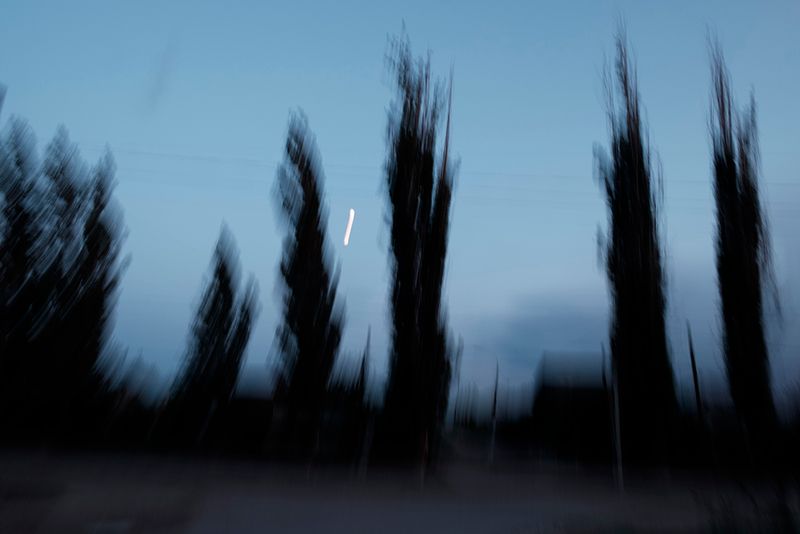 © ANASTASIA DUBRAVA - Image from the When the trees were big photography project