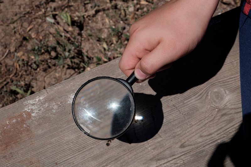 © ANASTASIA DUBRAVA - Image from the When the trees were big photography project