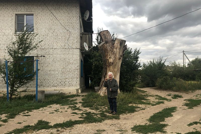 © ANASTASIA DUBRAVA - Image from the When the trees were big photography project