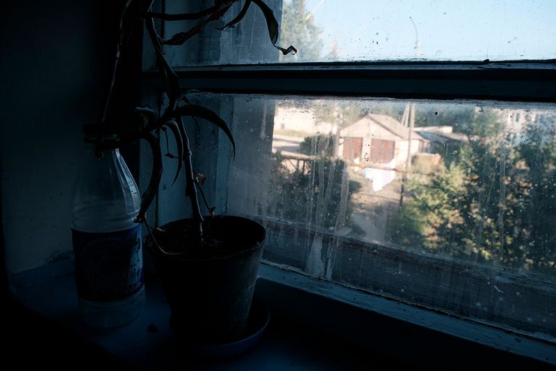 © ANASTASIA DUBRAVA - Image from the When the trees were big photography project