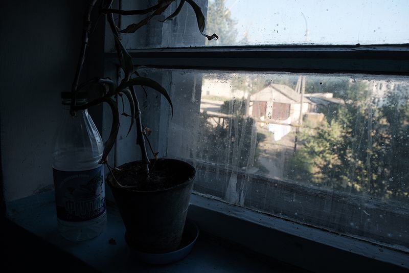 © ANASTASIA DUBRAVA - Image from the When the trees were big photography project