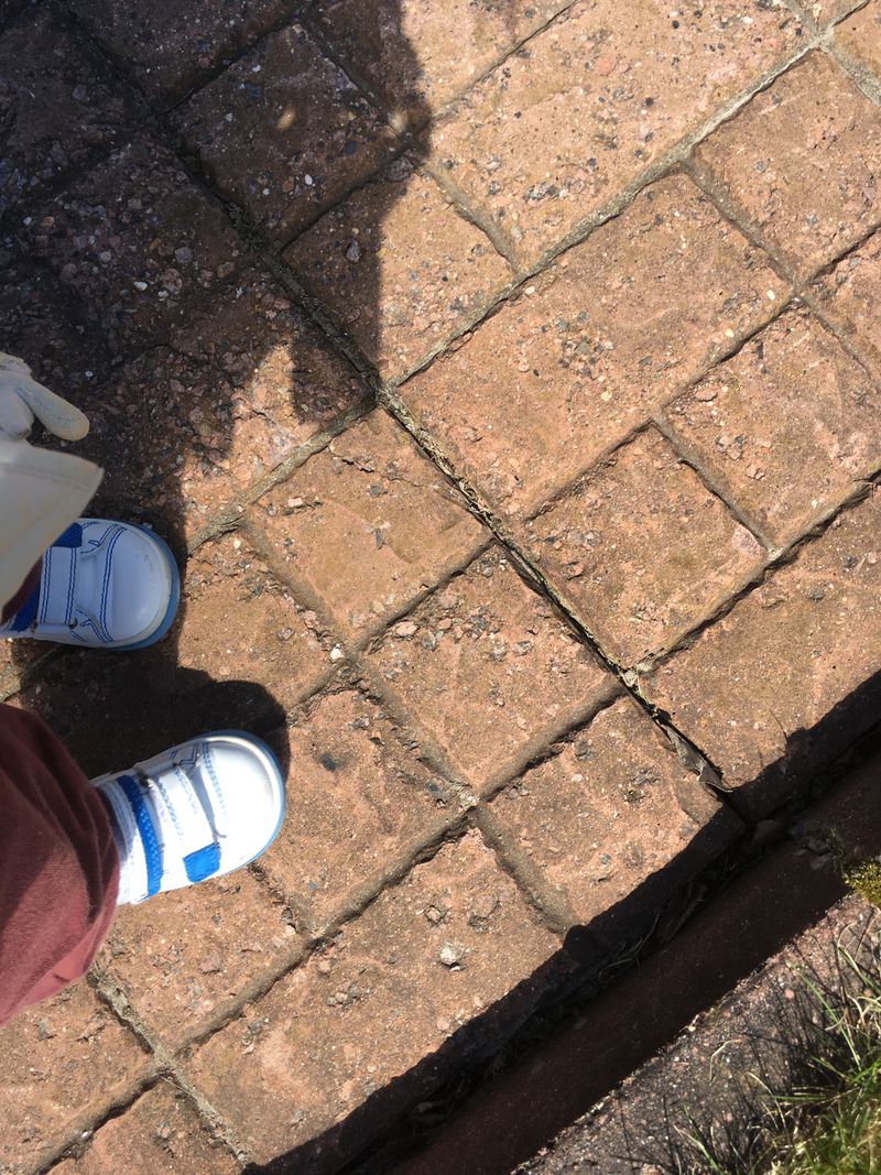 © ANASTASIA DUBRAVA - “Yeahh! I can walk!”