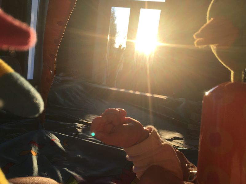 © ANASTASIA DUBRAVA - "Can somebody switch it off?"