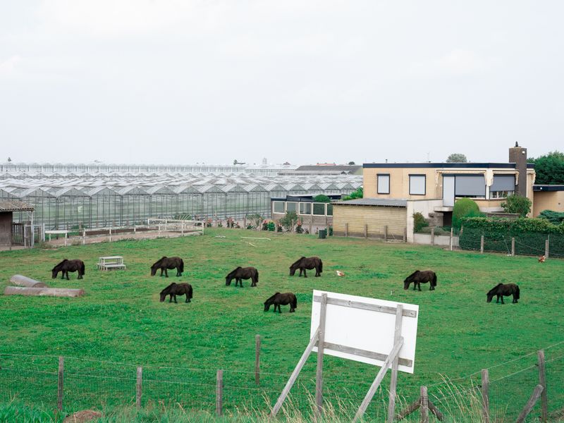 © Sean Charlton White - Image from the Welkom In Nederland photography project