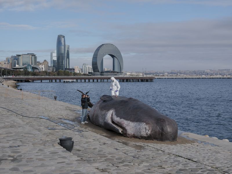 © Sean Charlton White - Image from the Climate Banter photography project