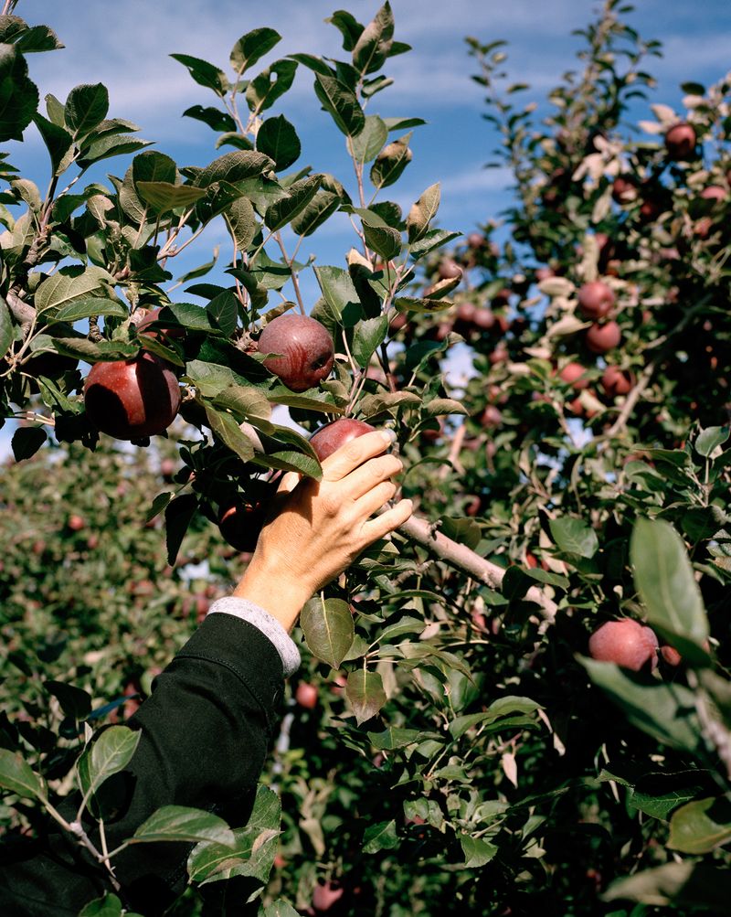 © Kaitlin Maxwell - Image from the Untitled photography project