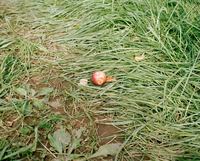© Kaitlin Maxwell - Image from the Untitled photography project