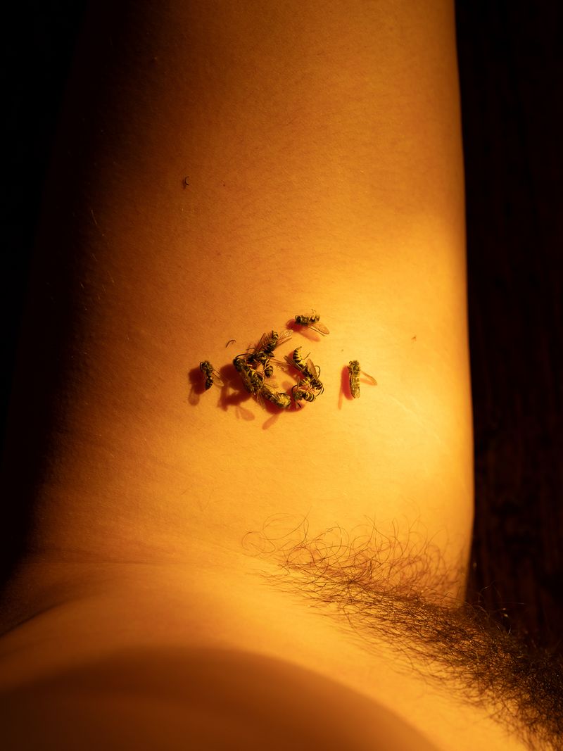 © Kaitlin Maxwell - Image from the Untitled photography project