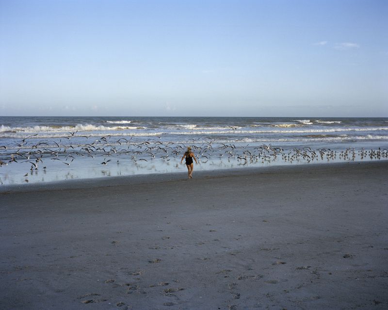 © Kaitlin Maxwell - Mom and Birds, 2015