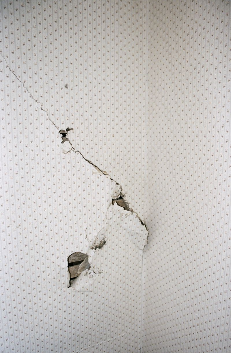 © Kaitlin Maxwell - Behind the Wallpaper, 2017