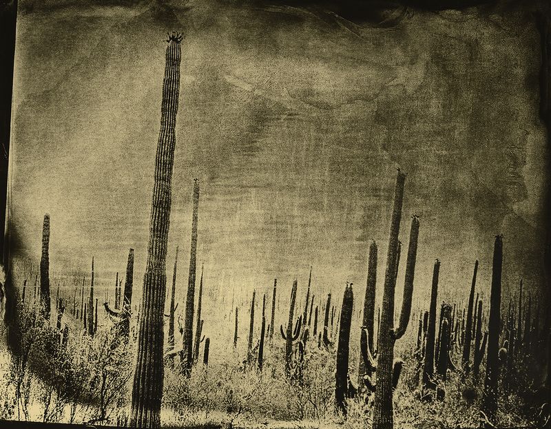 © Marcus DeSieno - Unknown Migrant, Female, Cause of Death - Probable Hyperthermia, Their Body Was Found Three Weeks After Death, Arizona