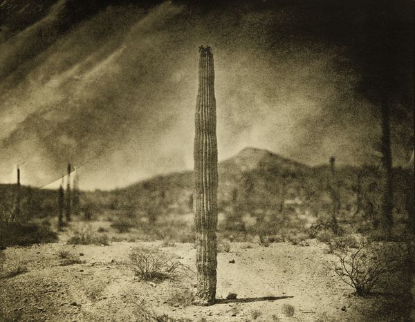 © Marcus DeSieno - Image from the Geography of Disappearance: Migrant Deaths on the US/Mexico Border photography project