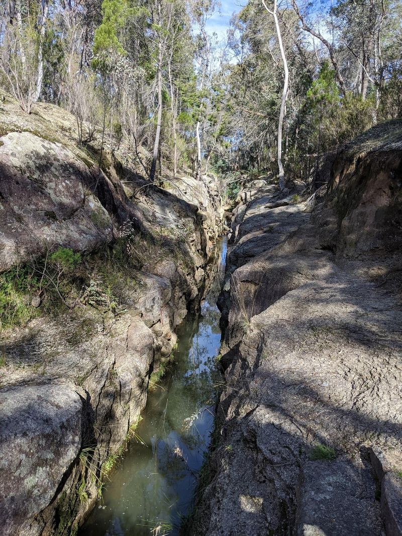 © Frostbyte Wolf - Image from the NE Victoria Summer 2023 photography project