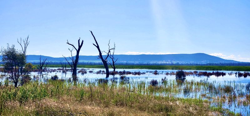 © Frostbyte Wolf - Image from the NE Victoria Summer 2023 photography project