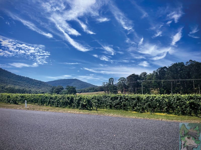 © Frostbyte Wolf - Image from the NE Victoria Summer 2023 photography project