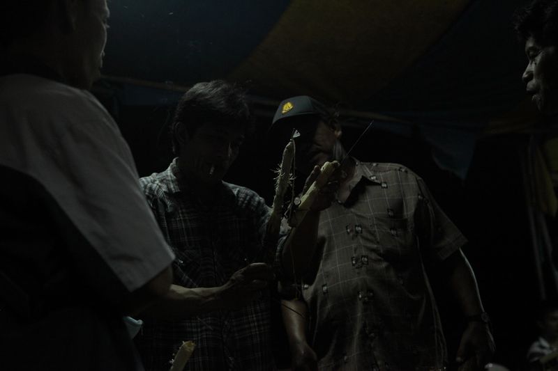 © Anne Kathrin Greiner - Image from the Sacred and Profane: Beetle Fighting in Northern Thailand photography project