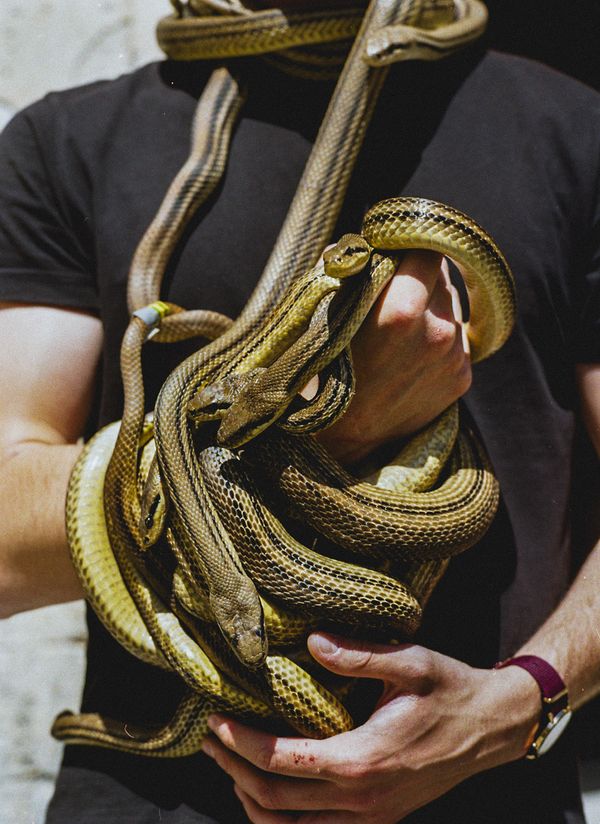 © claudia greco - Image from the Processione photography project