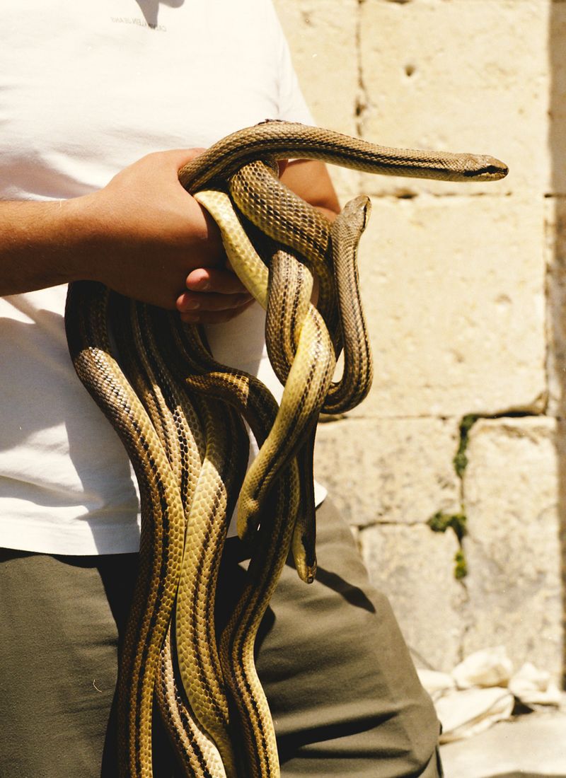 © claudia greco - Image from the Processione photography project