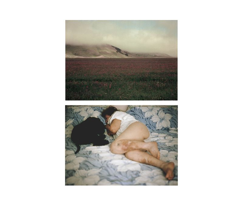 © claudia greco - Image from the The Long Tail photography project