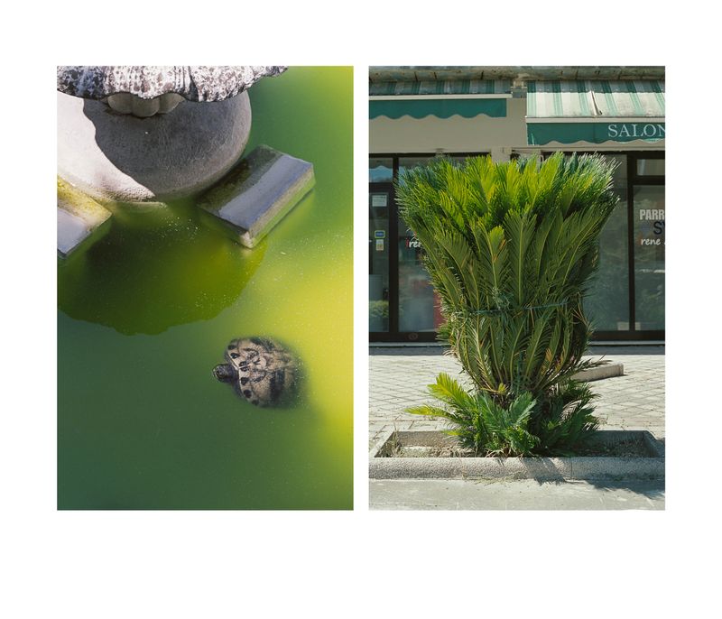 © claudia greco - Image from the The Long Tail photography project