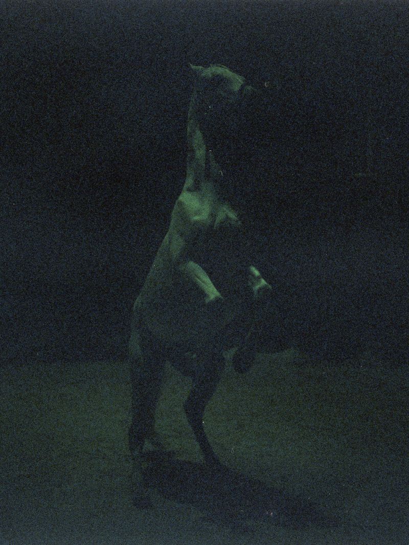 © claudia greco - Image from the INTO THIN AIR photography project