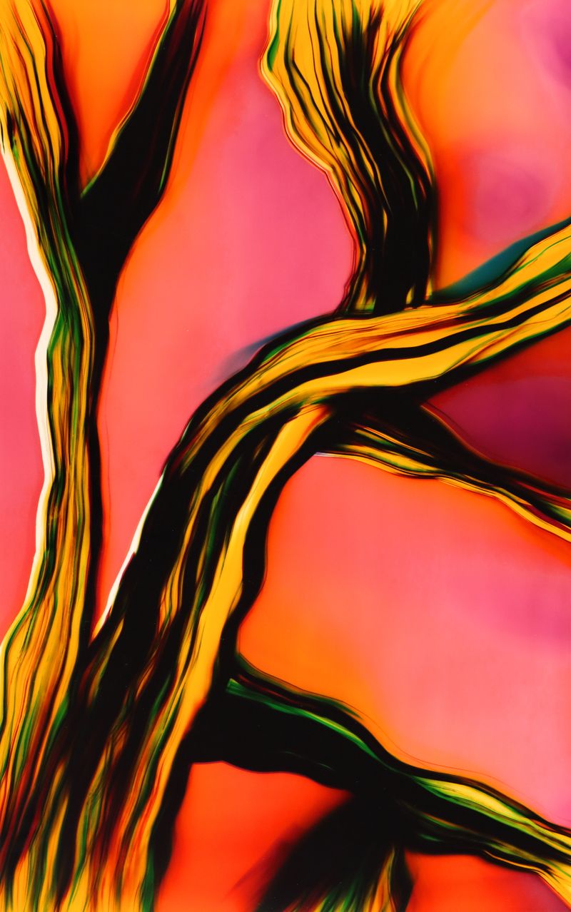 © Zsuzsa Holló - Shifting, 2025 Cameraless, luminogram on analog color photographic paperZsuzsa Holló