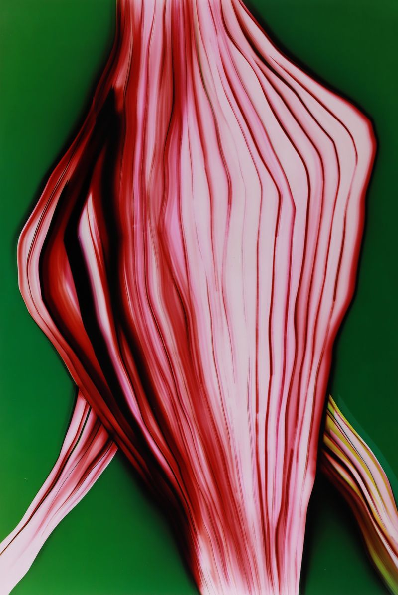 © Zsuzsa Holló - Shifting, 2025 Cameraless, luminogram on analog color photographic paperZsuzsa Holló