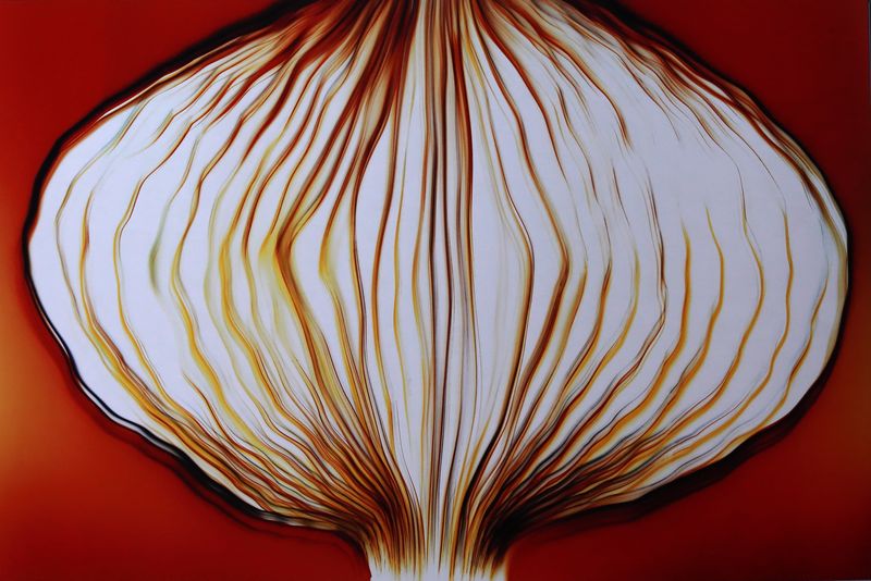 © Zsuzsa Holló - Shifting, 2025 Cameraless, luminogram on analog color photographic paperZsuzsa Holló