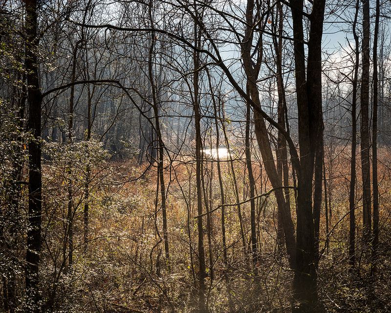 © Jennifer Garza-Cuen - Image from the Imag[in]ing America photography project