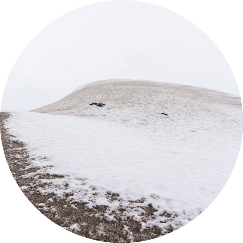 © sebastien michaud - Image from the Supermarket Landscape photography project