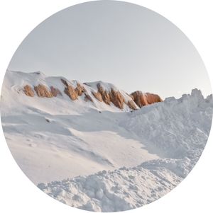 Supermarket Landscape