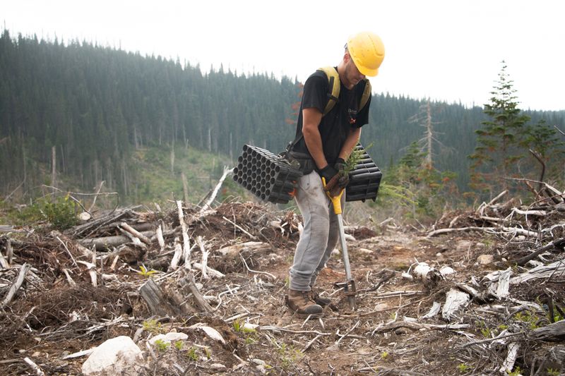 © sebastien michaud - Image from the Forest Gardeners part 2 photography project