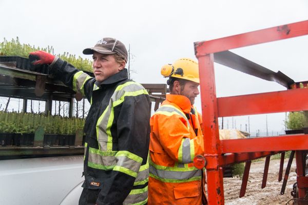 © sebastien michaud - Image from the Forest Gardeners part 2 photography project