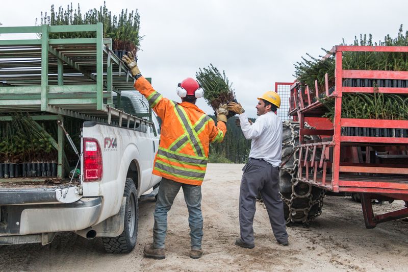 © sebastien michaud - Image from the Forest Gardeners part 2 photography project