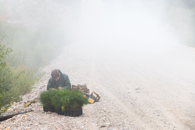 © sebastien michaud - Image from the Forest Gardeners part 2 photography project