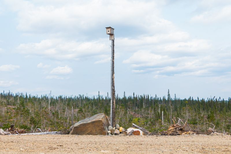 © sebastien michaud - Image from the Forest Gardeners part 2 photography project