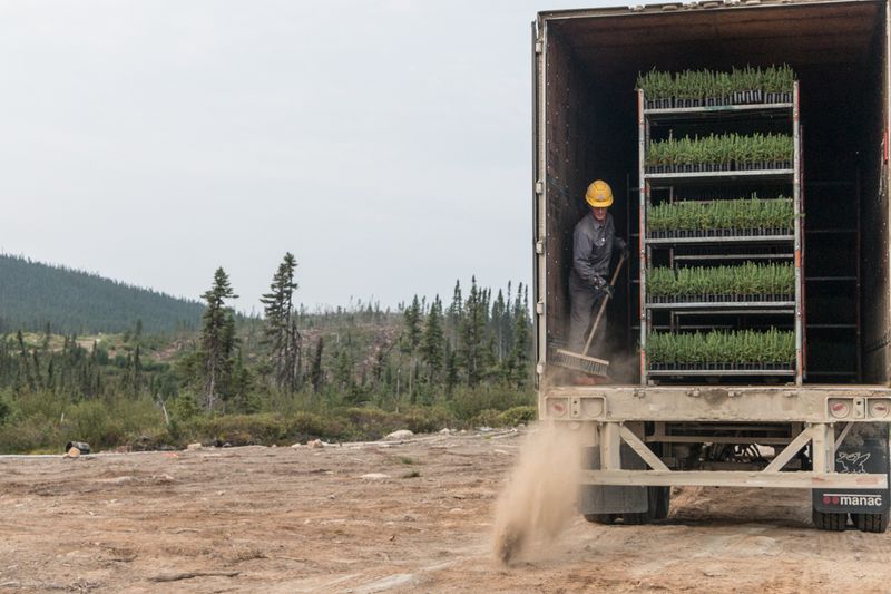 © sebastien michaud - Image from the Forest Gardeners part 2 photography project