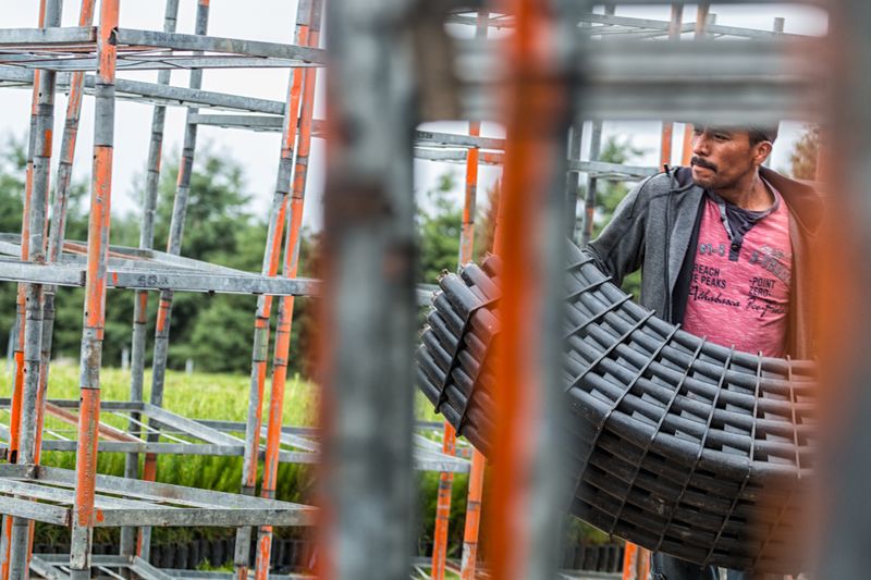 © sebastien michaud - Image from the Forest Gardeners part 1 photography project