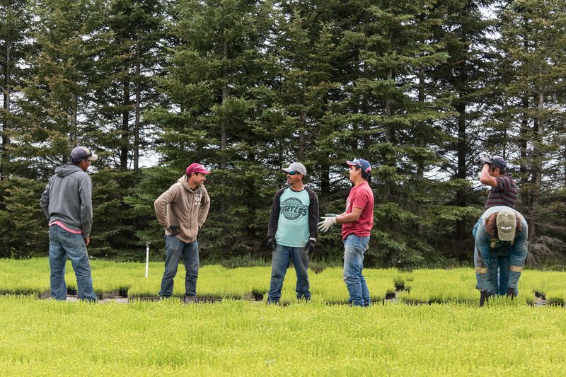 © sebastien michaud - Image from the Forest Gardeners part 1 photography project