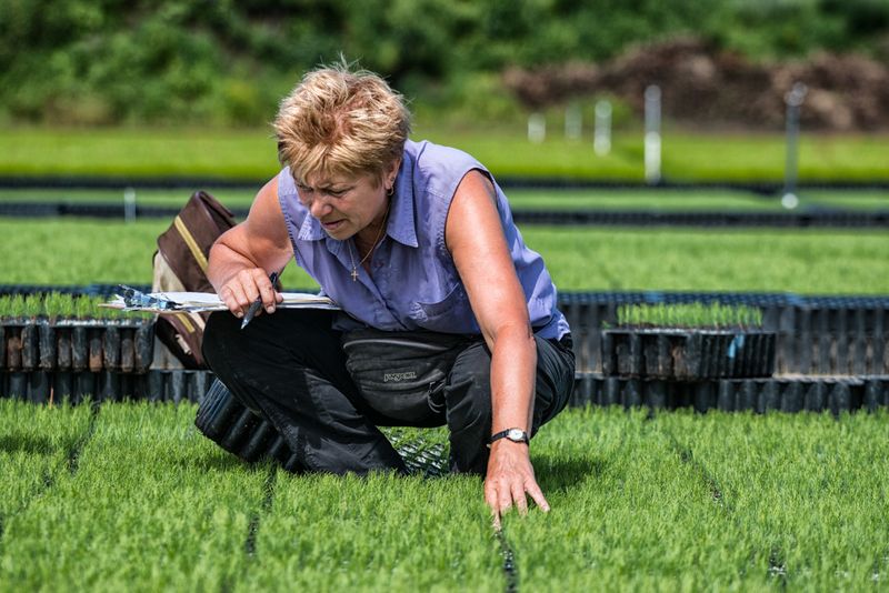 © sebastien michaud - Image from the Forest Gardeners part 1 photography project