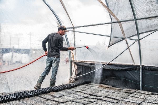 © sebastien michaud - Image from the Forest Gardeners part 1 photography project