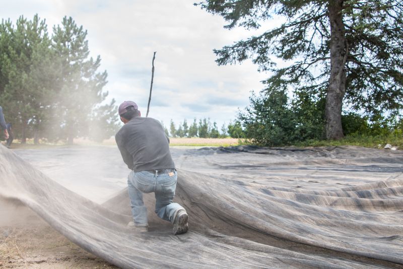 © sebastien michaud - Image from the Forest Gardeners part 1 photography project