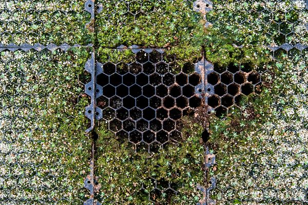 © sebastien michaud - Image from the Forest Gardeners part 1 photography project