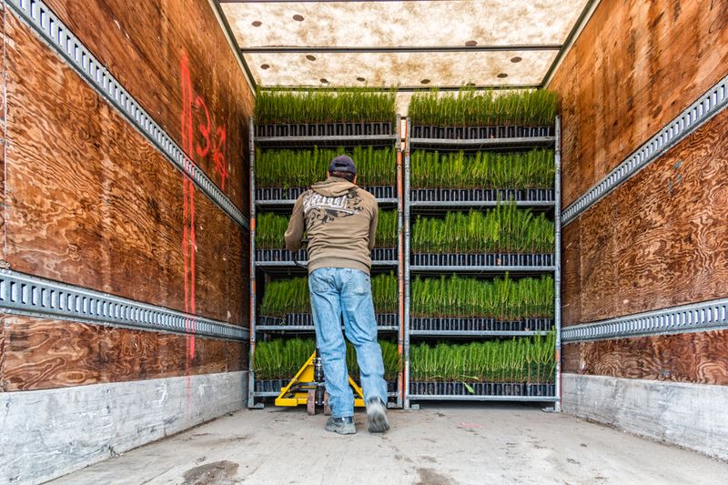 © sebastien michaud - Image from the Forest Gardeners part 1 photography project