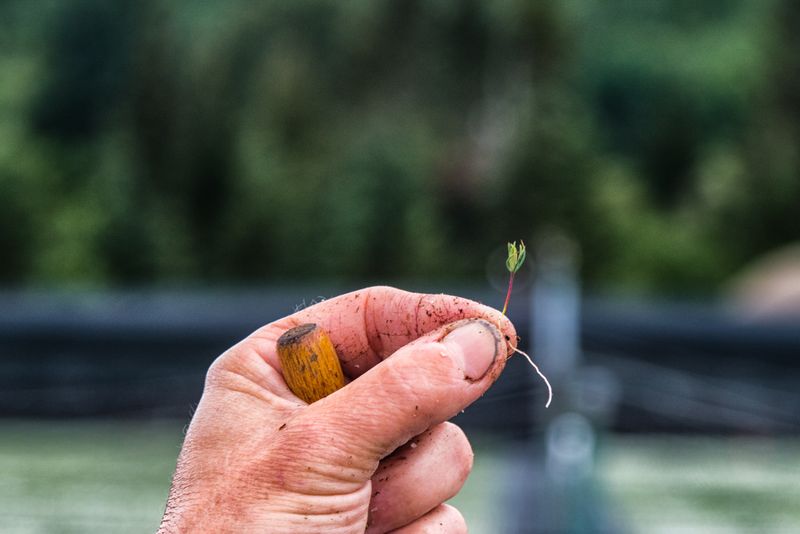 © sebastien michaud - Image from the Forest Gardeners part 1 photography project