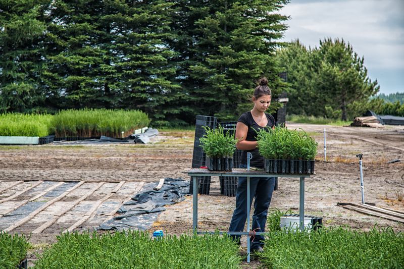 © sebastien michaud - Image from the Forest Gardeners part 1 photography project