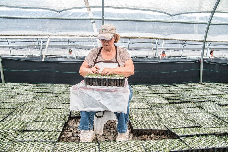 © sebastien michaud - Image from the Forest Gardeners part 1 photography project