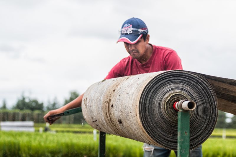 © sebastien michaud - Image from the Forest Gardeners part 1 photography project