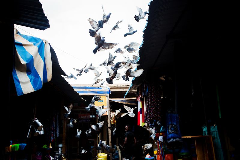 © Anne Ackermann - Image from the Behind Veils and Walls - Women in Little Mogadishu photography project